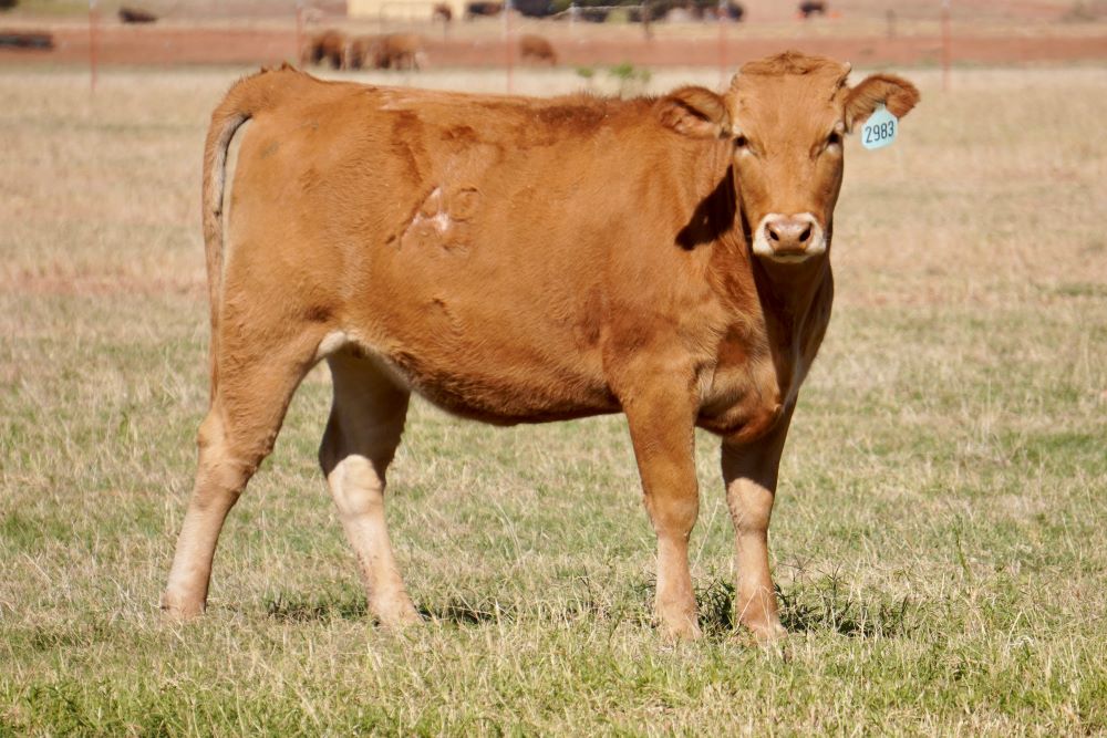 ABN RANCH 2983L ET